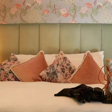 Kilronan House 더블린